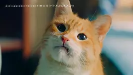 0.jpg.webp
